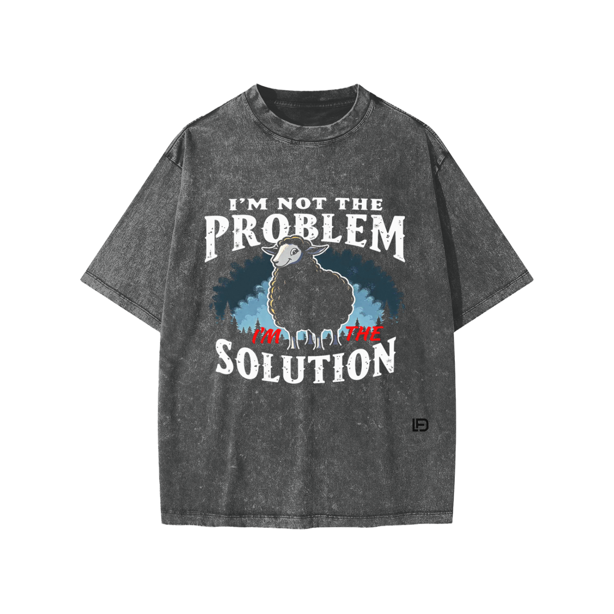 Kids & Teens  I'm Not the Problem I'm the Solution – Snow Washed Oversized Cotton T-Shirt