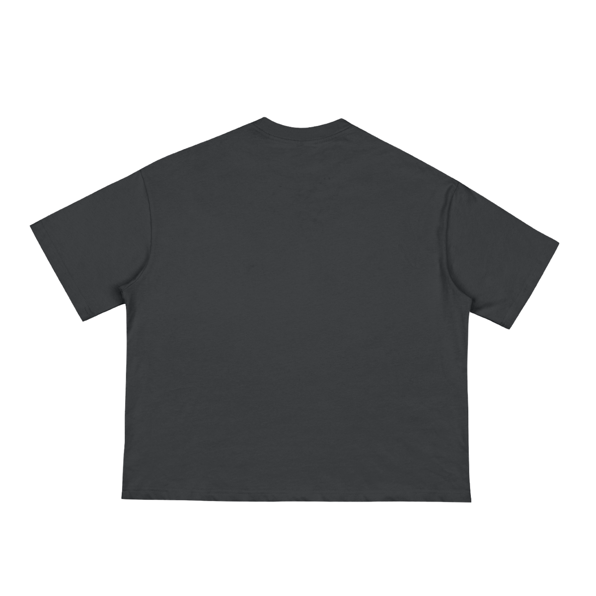 Dragon and Tiger Mythic Clash Classic Loose Boxy Tee