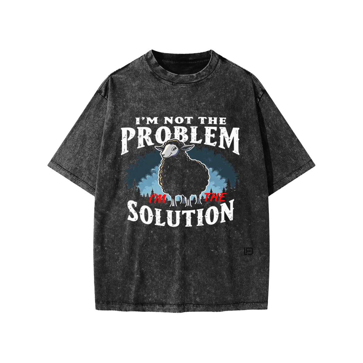 Kids & Teens  I'm Not the Problem I'm the Solution – Snow Washed Oversized Cotton T-Shirt