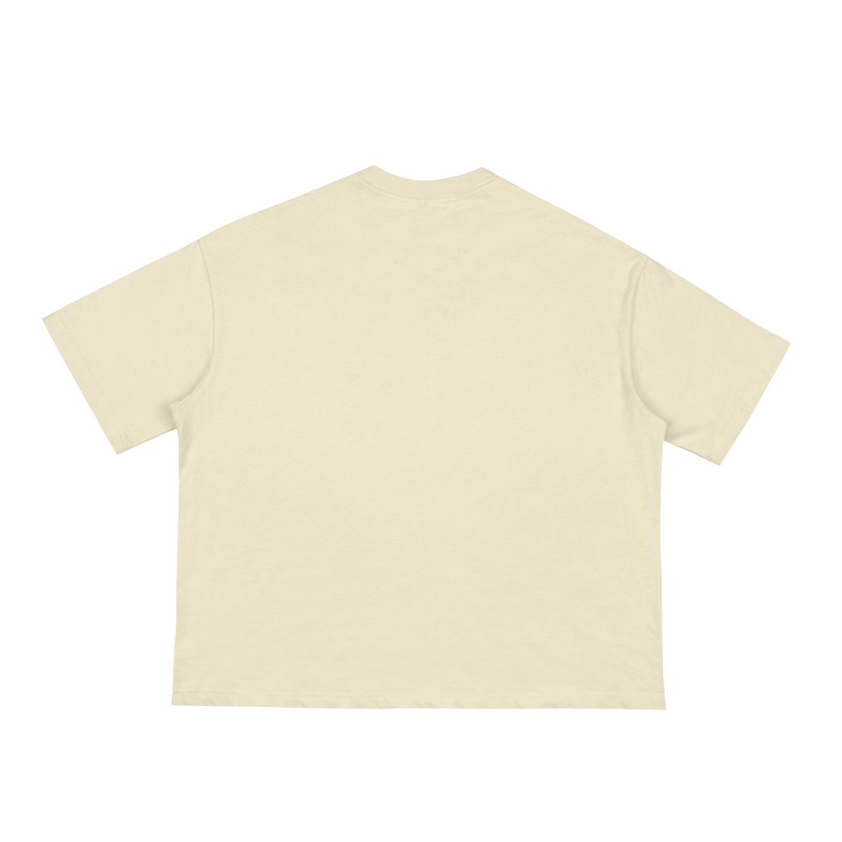 Dragon and Tiger Mythic Clash Classic Loose Boxy Tee