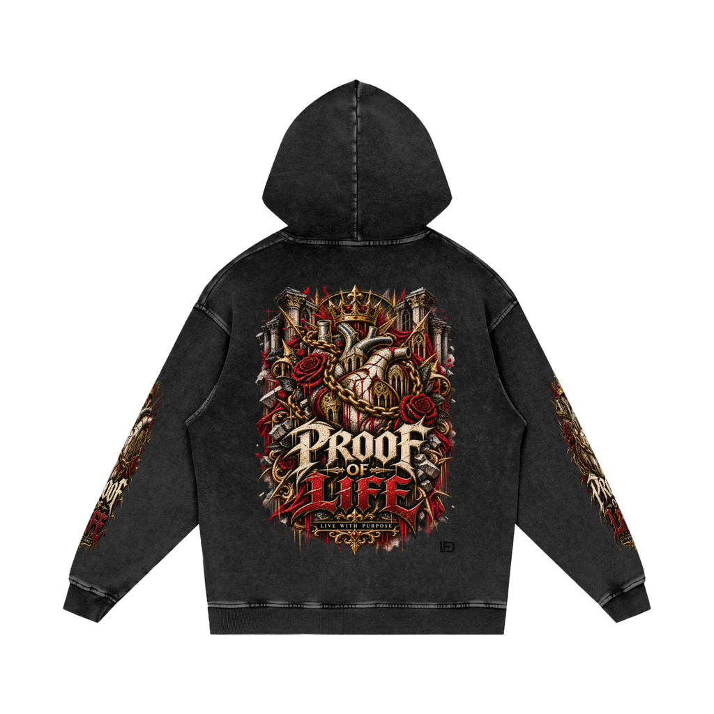 Proof of Life Snow Washed Loose Cotton Hoodie